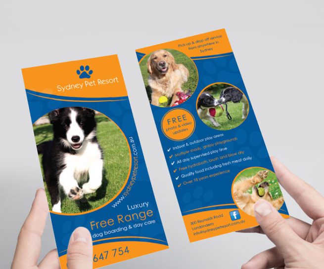 DL flyer design sydney pet resort