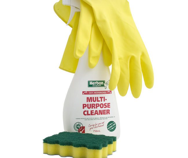 product photography cleaning products